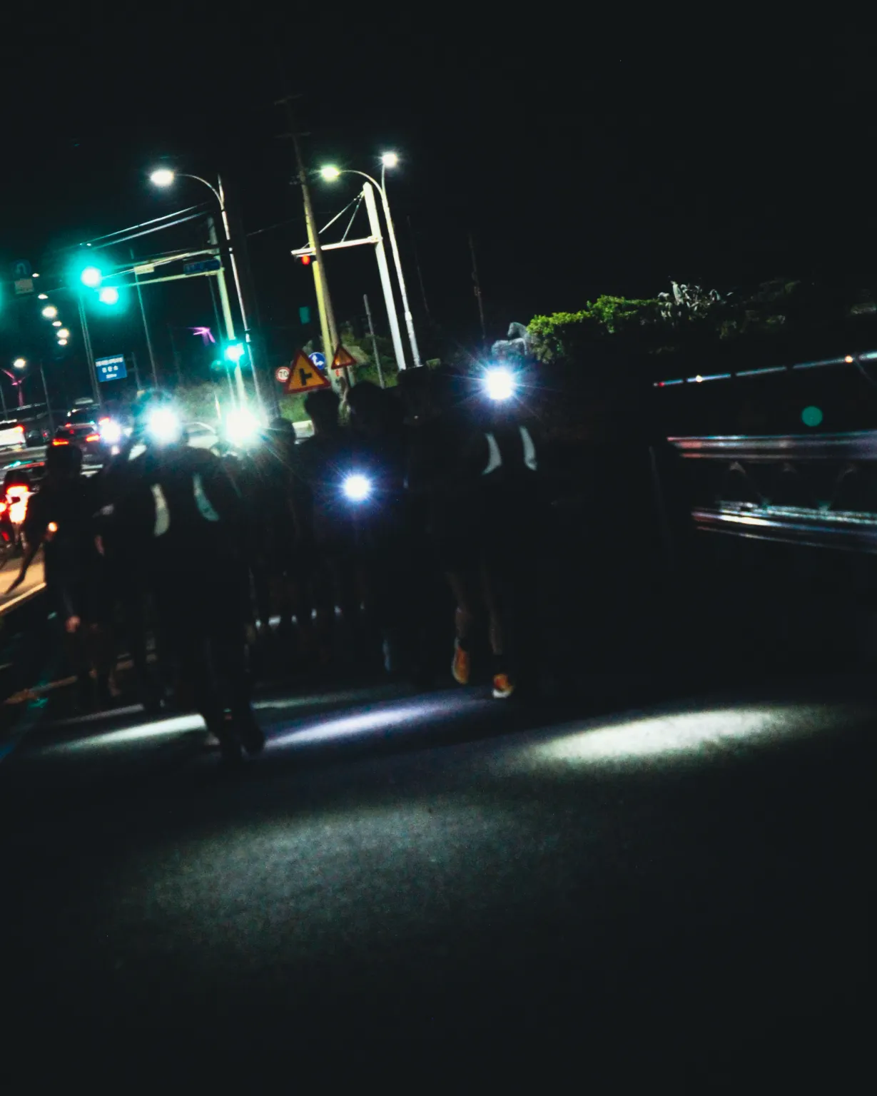 arc shelter jeju image 10