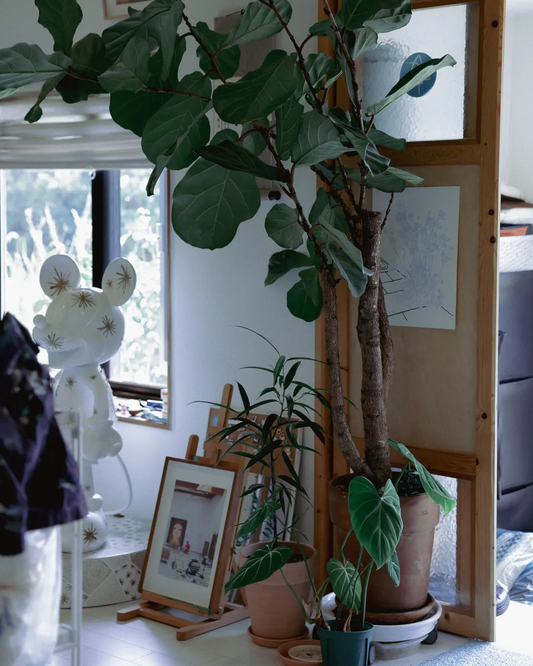 arc shelter jeju image 7