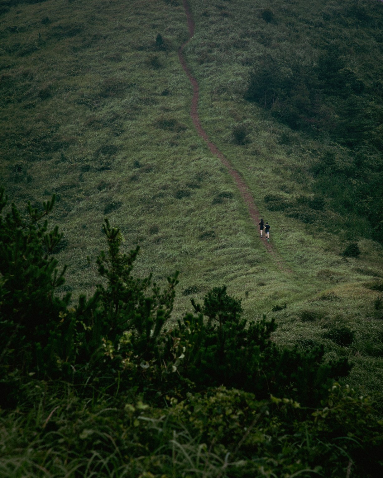 24 Beacon Light Potential 2