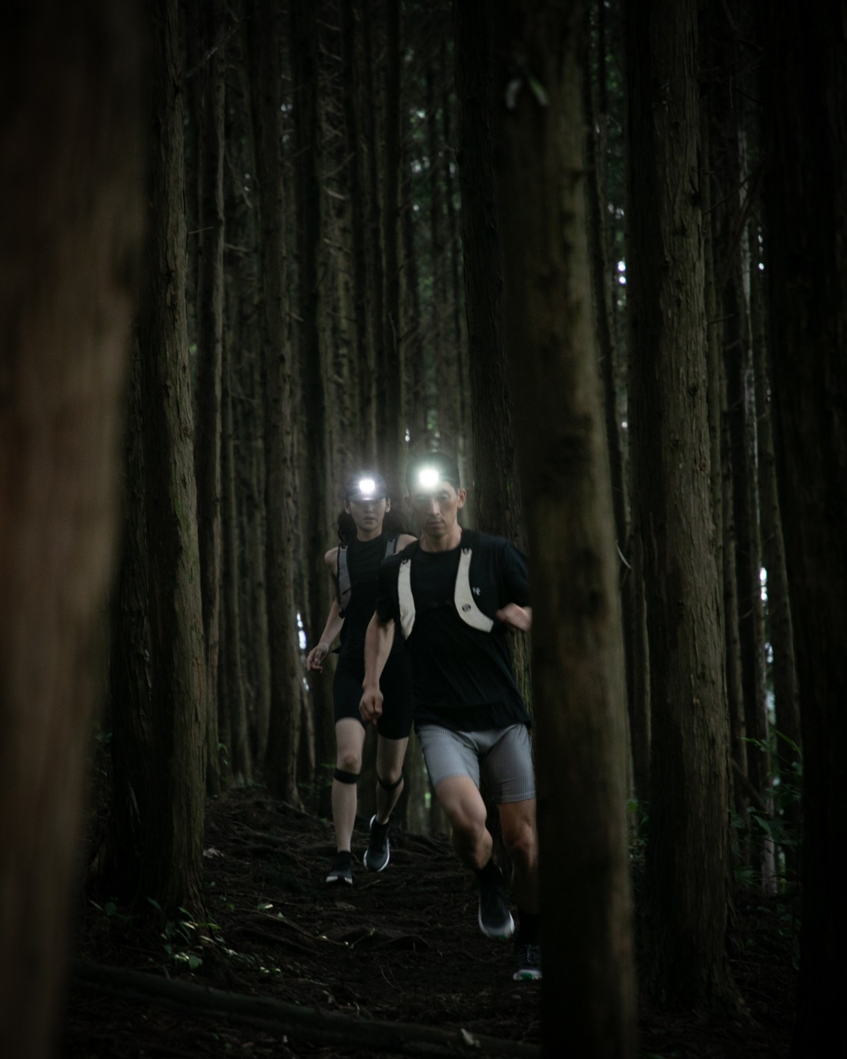 24 Beacon Light Potential 3