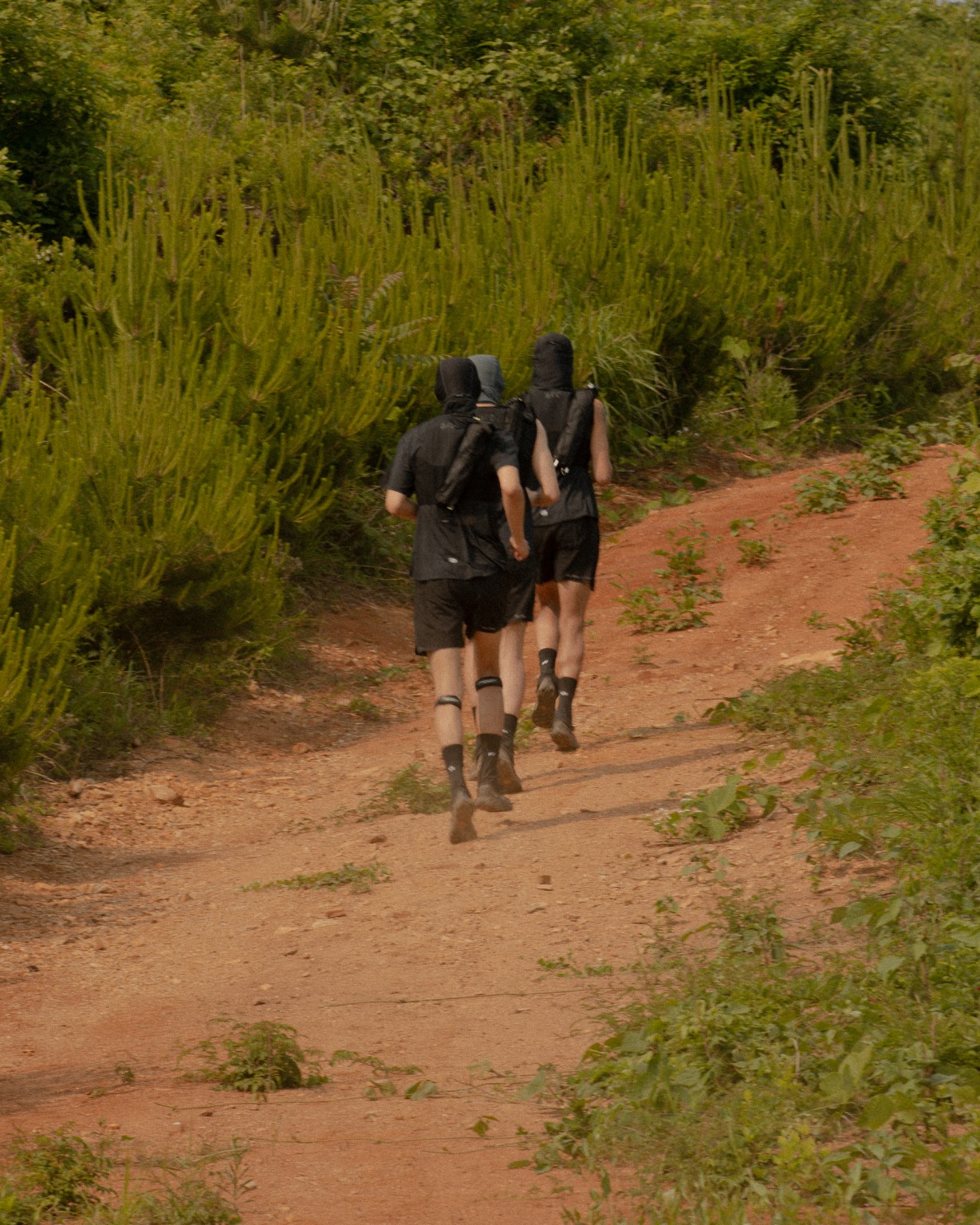 25 Falcon Attitude Altitude 10